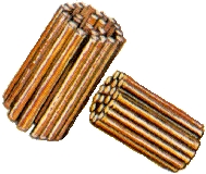 centrioles2.jpg